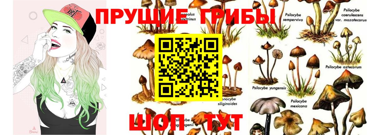 Галлюциногенные грибы Magic Shrooms Омск