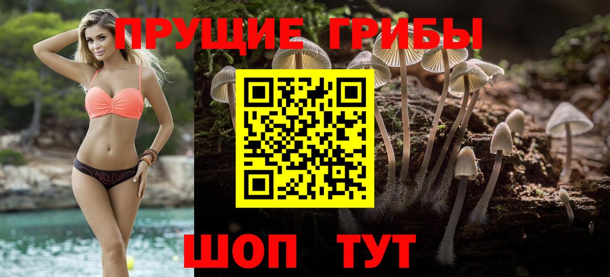Галлюциногенные грибы Magic Shrooms  Вход с VPN  Омск  Галлюциногенные грибы прущие грибы 